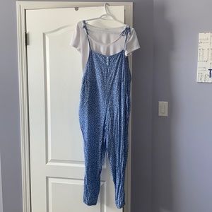 Smash and Tess Jillyalls